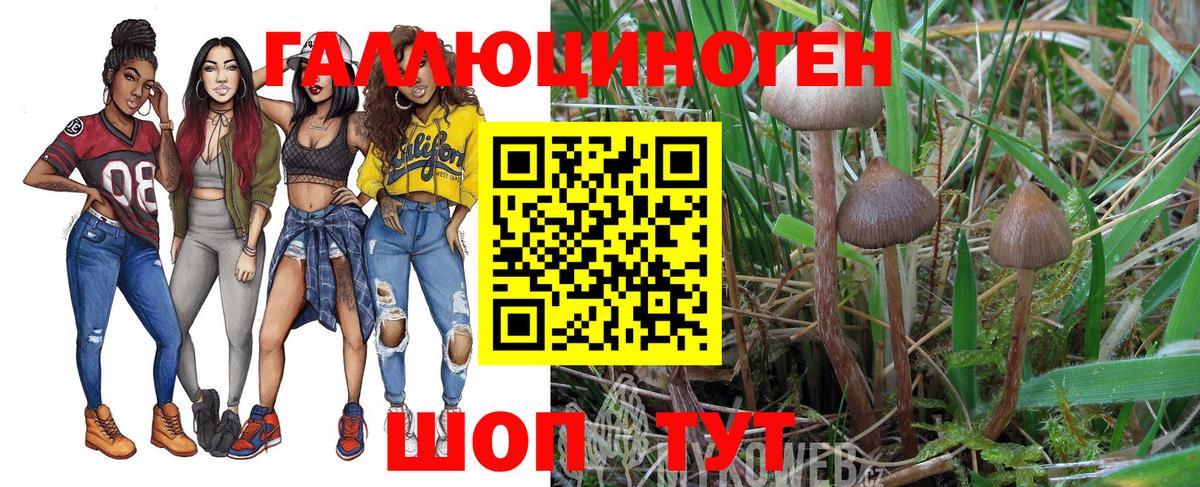 Галлюциногенные грибы прущие грибы Северобайкальск