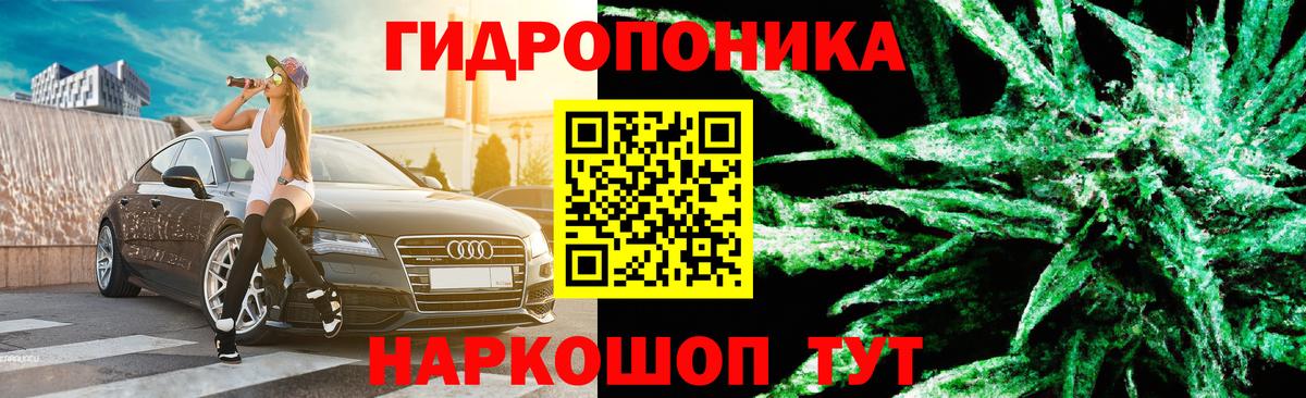 Бошки марихуана конопля Северобайкальск